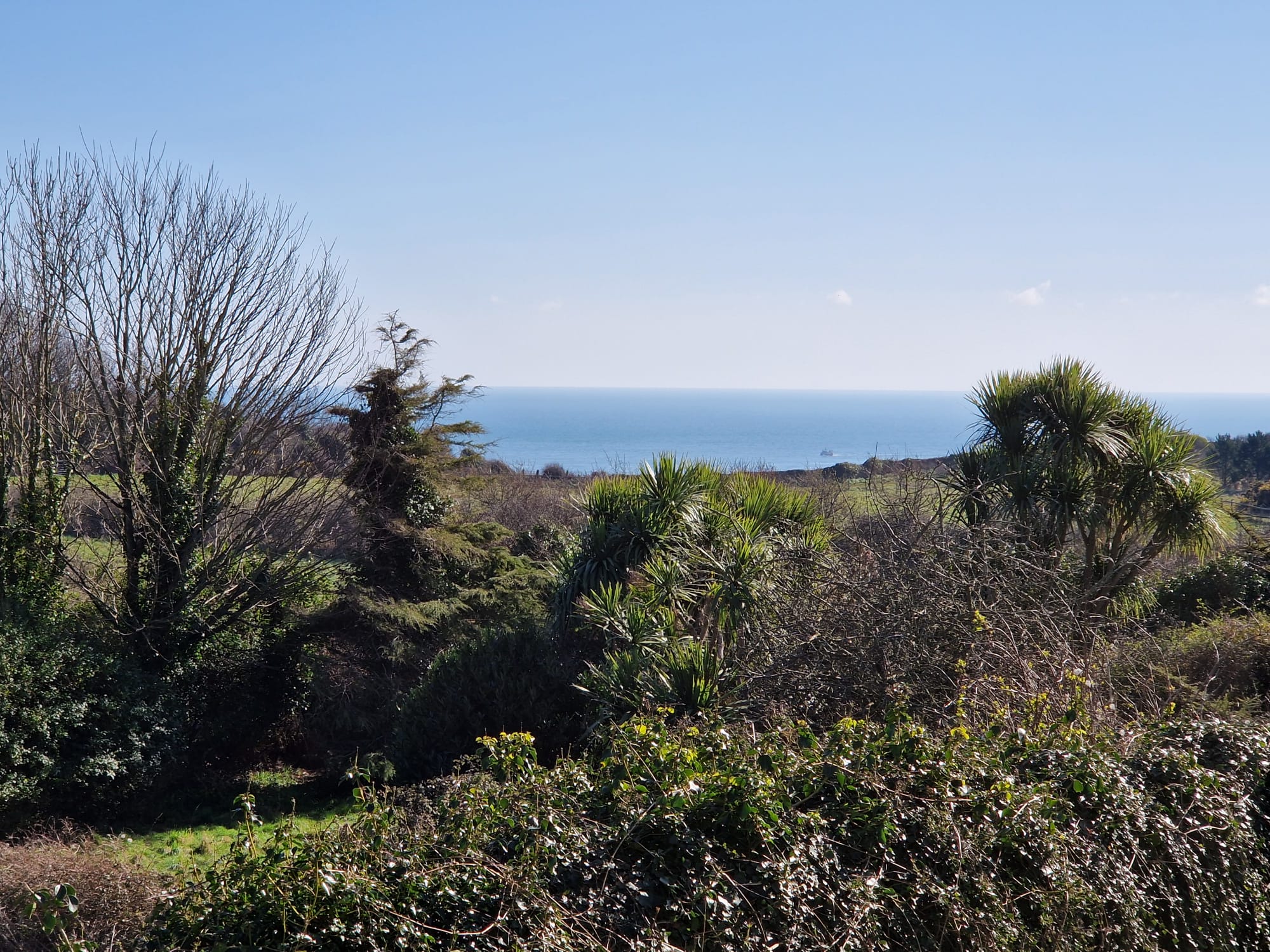 View from cottage